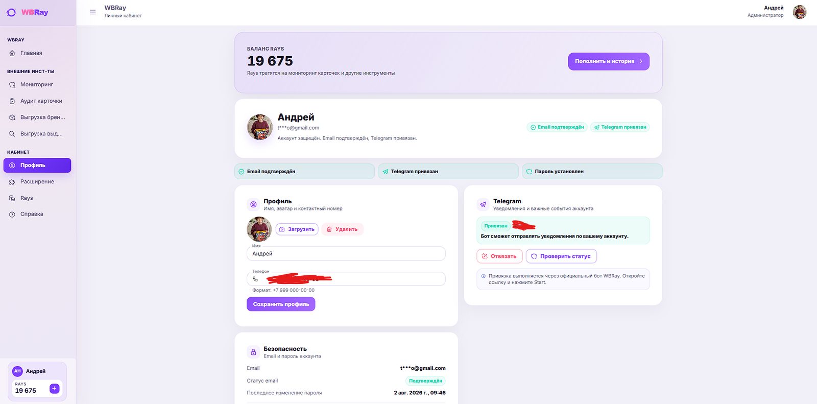 Личный кабинет - Баланс Rays, привязка Telegram, безопасность аккаунта и доступ ко всем инструментам